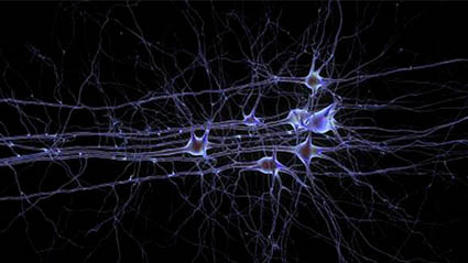 silent neurons
