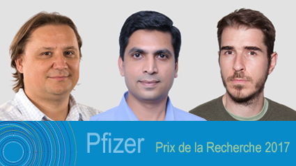 Pfizer prize 2017