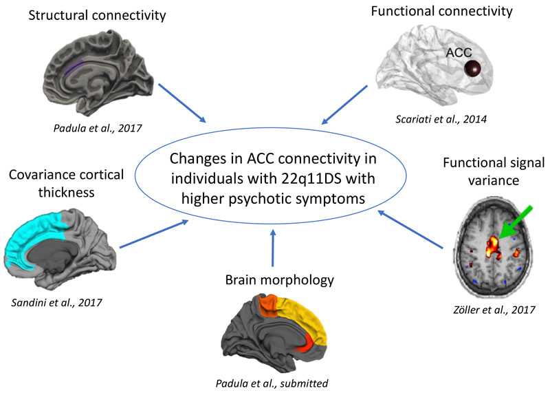 acc connectivity