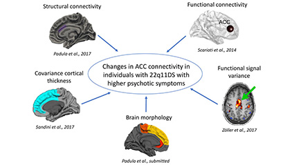 Highlight psychiatry clinical cohort : Perceiving schizophrenia