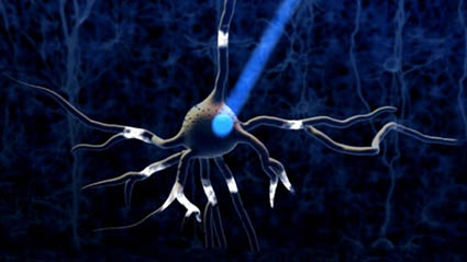 Adapting optogenetics to reverse cocaine behavior