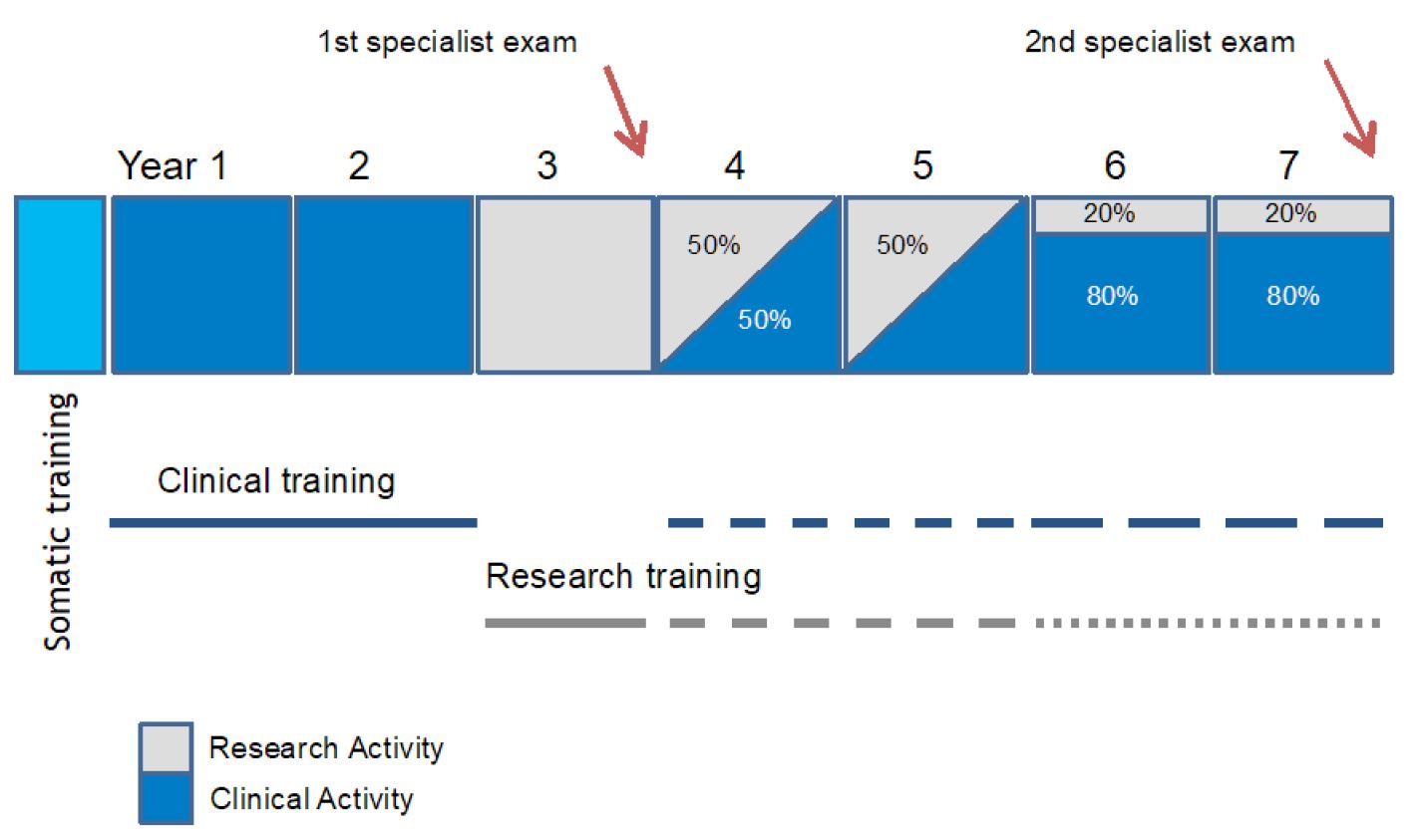 Translational cursus 1