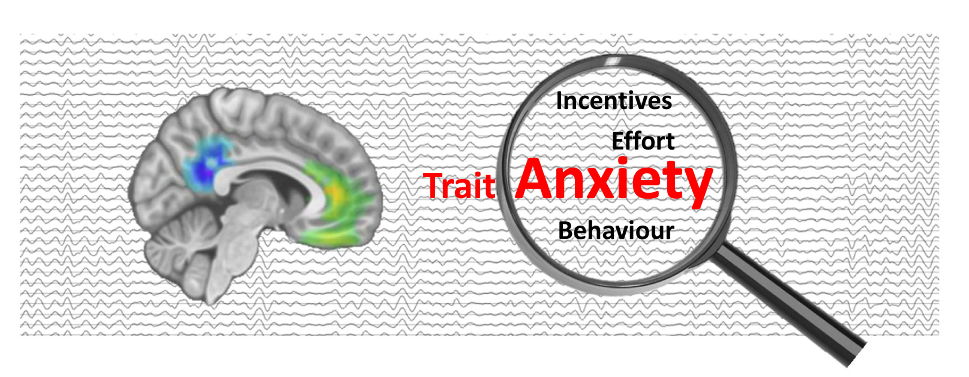 Identification of a behavioral and neural signature of trait anxiety related to differences in effortful motivated behavior